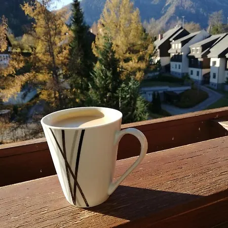 Ausseeerland Apartament Bad Aussee